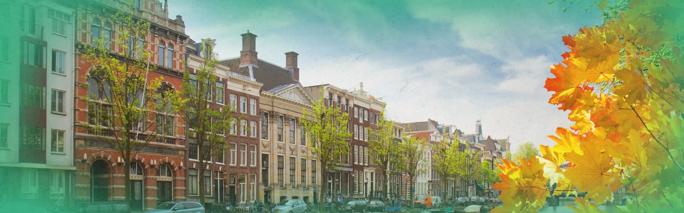 About the Netherlands